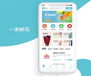 鄂州IOS APP开发竞拍电商系统提供最佳的应用程序定制服务【就在今天，折扣疯狂！】